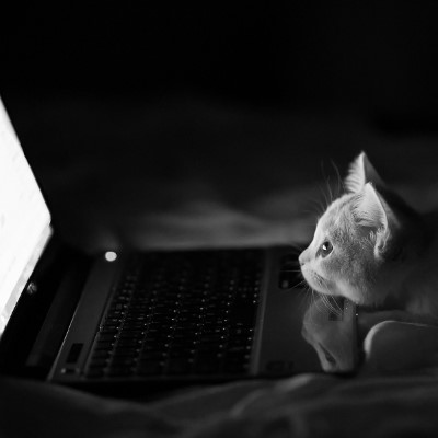 1920 x 1080 HD Wallpapers 1990